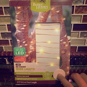 80-Count Wire Lights (27ft)